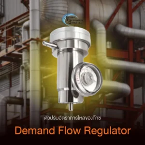 Demand Flow Regulator